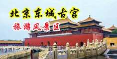 老太太被大鸡巴操上瘾视频免费网站中国北京-东城古宫旅游风景区
